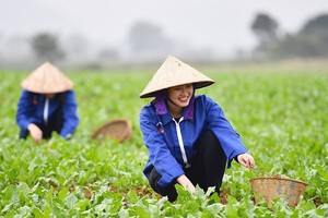 UBND TP. Hà Nội đặt mục tiêu trang bị kiến thức, kỹ năng nghề cho 13.990 người lao động trong năm 2024.