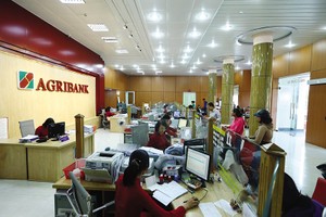 Agribank đang đau đầu với thực tế tiền gửi ùn ùn chảy vào ngân hàng, trong khi cho vay tăng rất chậm. Ảnh: Đức Thanh