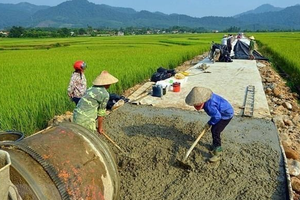 Ảnh minh hoạ. (Nguồn: Internet)