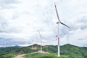 Nhà máy điện gió AMACCAO Quảng Trị 1 Ảnh: Amaccao.vn