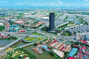 Ảnh minh hoạ. (Nguồn: Internet)