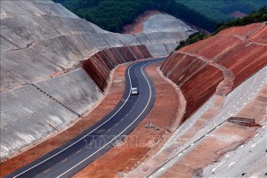 Ảnh minh họa: Huy Hùng/TTXVN