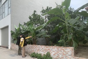 Luật Đất đai mới được kỳ vọng sẽ giúp thị trường phát triển theo hướng minh bạch, an toàn và lành mạnh hơn. Ảnh: Thanh Vũ