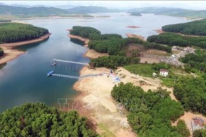 Ảnh tư liệu: Trần Tĩnh/TTXVN