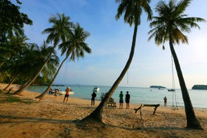 Các quy định về hoạt động lấn biển trong Luật Đất đai 2024 sẽ được áp dụng ngay từ ngày 1/4. Ảnh: Dũng Minh