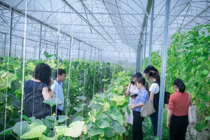 GDP toàn cầu tăng 25.000 tỷ USD nếu phụ nữ tham gia bình đẳng vào nền kinh tế