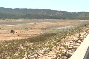 Hồ Ông Kinh, xã Nhơn Hải, huyện Ninh Hải đã về mực nước chết từ hơn một tháng qua. Nguồn: NTV