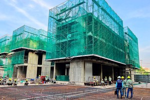 Để thị trường minh bạch, đòi hỏi phải có hệ thống thu thập, cập nhật thông tin về Ảnh: Đức Thanh