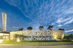 Hà Đô sẽ đẩy mạnh M&A các dự án bất động sản và năng lượng mới với tiêu chí đảm bảo hài hòa giữa rủi ro và khả năng sinh lời