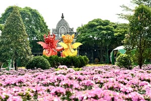 Hạ Long luôn biết cách làm mới cảm xúc của du khách bằng nhiều trải nghiệm mới mẻ