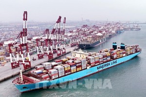 Cảng hàng hóa ở Thanh Đảo, tỉnh Sơn Đông, Trung Quốc. Ảnh: THX/TTXVN