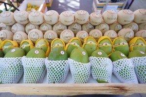 Công ty Vina T&T đang gặp khó khi giá dừa tươi liên tục tăng cao và "cháy hàng".