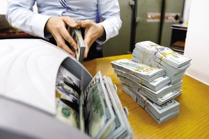 “Chóng mặt” vì biến động tỷ giá