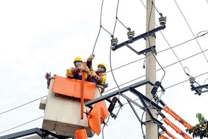 Dự án ách tắc, TP.HCM có nguy cơ thiếu điện