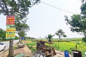 Thị trường đất nền sẽ được quản lý chặt chẽ hơn trong thời gian tới