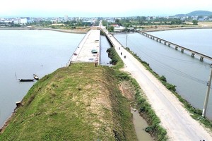 Dự án cầu Tam Giang (huyện Núi Thành) đến nay vẫn chưa có đường dẫn.