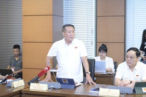 Đại biểu Hà Sỹ Đồng, Phó chủ tịch Thường trực UBND tỉnh Quảng Trị phát biểu tại tổ.