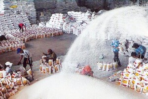 Mục tiêu lớn trong điều hành xuất khẩu gạo là đảm bảo an ninh lương thực quốc gia, vừa thúc đẩy sản xuất, xuất khẩu bền vững.