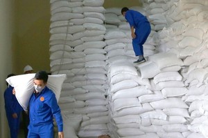 VFA được yêu cầu xác minh thông tin việc doanh nghiệp xuất khẩu gạo 'bỏ thầu giá thấp' và báo cáo về Bộ Công thương.