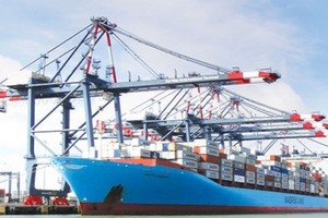 Tín hiệu thuận cho “siêu” cảng cửa ngõ Cái Mép Hạ 