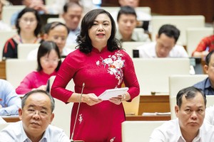 Đại biểu Đặng Bích Ngọc (Hòa Bình) chất vấn Bộ trưởng Đặng Quốc Khánh