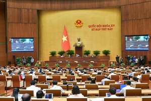 Phiên thảo luận về cơ chế đặc thù cho Đà Nẵng của Quốc hội