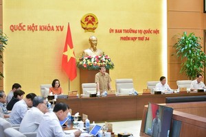 Phó chủ tịch Quốc hội Nguyễn Đức Hải điều hành phiên thảo luận.