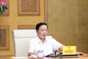 Phó thủ tướng chủ trì cuộc họp cho ý kiến hoàn thiện dự thảo Nghị định quy định chi tiết một số điều của Luật Nhà ở. Ảnh: VGP