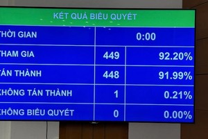 Kết quả biểu quyết lập đoàn giám sát.