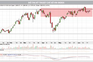 Đồ thị phân tích kỹ thuật chỉ số VN-Index