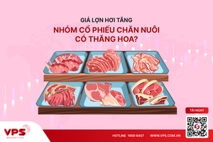 Giá lợn hơi tăng, nhóm cổ phiếu chăn nuôi có thăng hoa?