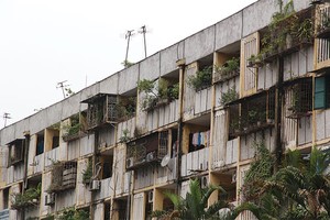 Nhà nước sẽ đứng ra cải tạo, xây dựng lại chung cư cũ