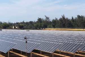 Quảng Ngãi: Nhà đầu tư xin khảo sát thực hiện 4 dự án điện gió, điện mặt trời