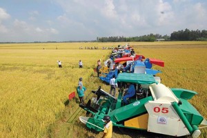 Khoa học và công nghệ đồng hành cùng sự phát triển của doanh nghiệp nông nghiệp