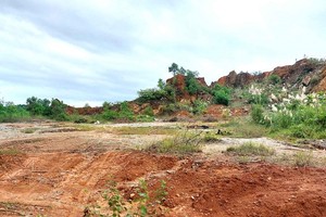 Dự án Cụm công nghiệp Tam Mỹ Tây dang dở.