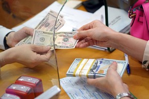 Chuyên gia: Nên tiếp tục duy trì chính sách lãi suất 0% với USD