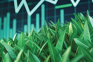 Điều chỉnh trong xu hướng tích cực