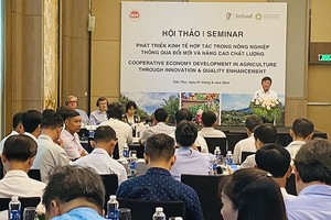 Ông Vũ Mạnh Hùng - Phó cục trưởng Cục Kinh tế hợp tác, Bộ KHĐT phát biểu tại Hội thảo