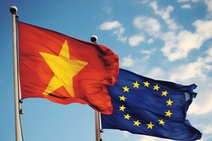 Tròn 4 năm thực thi EVFTA: Xuất khẩu sang EU tăng vọt