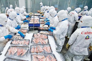 Xuất khẩu của Việt Nam tăng trưởng khá trong 7 tháng đầu năm, trong đó ngành thủy sản đóng góp đáng kể Ảnh: Đức Thanh 