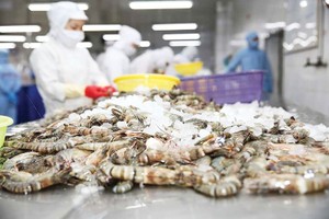 Tăng trưởng thuỷ sản quý I bứt phá, nhưng lo ngại khó cạnh tranh do mức thuế vào Mỹ tới 46%