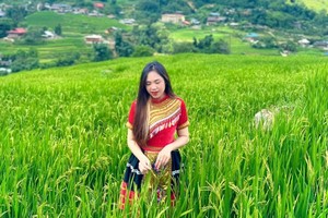 Vẻ đẹp siêu thực của Sa Pa mùa lúa xanh