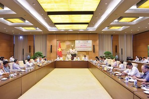 Các đại biểu thảo luận tại Hội thảo góp ý hoàn thiện Dự thảo Luật Điện lực (sửa đổi). Ảnh: Nghĩa Đức