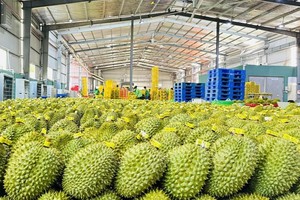 Doanh nghiệp đón nhiều đơn hàng xuất khẩu sang Trung Quốc