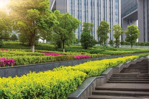 Thị trường tín chỉ carbon có thể mang lại nguồn tiền bền vững cho các doanh nghiệp trong nước