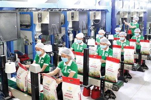 Xuất khẩu gạo của Việt Nam năm 2024 có thể cán mốc 8 triệu tấn, thu về hơn 5 tỷ USD, lập kỷ lục mới