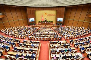 Các đại biểu làm lễ chào cờ.