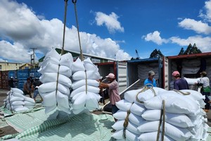 Giá gạo 5% tấm xuất khẩu tăng lên 578 USD/tấn so với tuần trước.