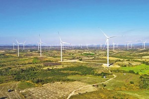 Tại Dự án Nhà máy Điện gió Chơ Long, UBND tỉnh Gia Lai đã ban hành quyết định giao đất, cho thuê đất có sai phạm.