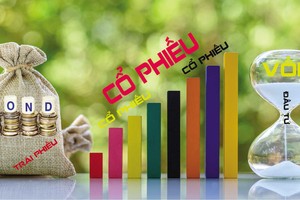 Nhiều chuyên gia và nhà phân tích cho rằng, môi trường vĩ mô hiện phù hợp với việc phân bổ vốn đầu tư vào danh mục tài sản rủi ro, bao gồm cổ phiếu.